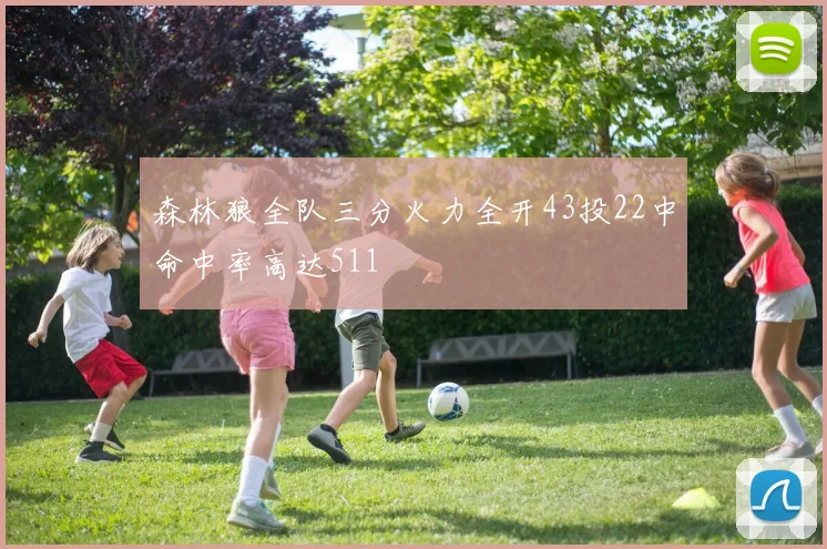 森林狼全队三分火力全开43投22中命中率高达511