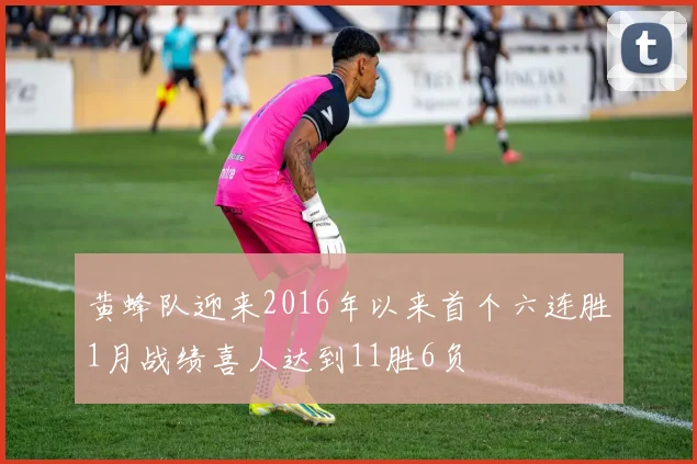 黄蜂队迎来2016年以来首个六连胜1月战绩喜人达到11胜6负