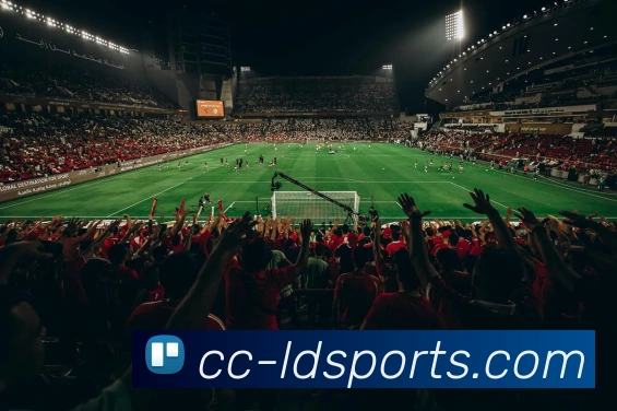 乐动体育APP 高清赛事图