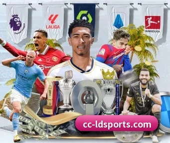 乐动体育 APP | LDSPORTS