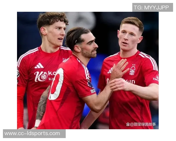 曼联明夏引援目标锁定两名中场埃利奥特安德森成为首选球员